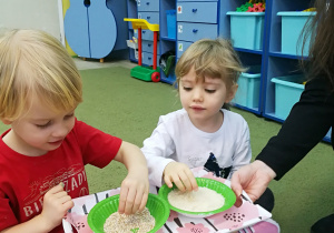 Lena i Gabrysia badają ziarna kaszy i ryżu