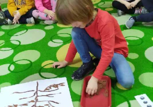 Rysio sadza wróbelki na gałązce.