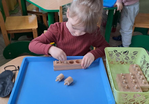 Kształcenie zmysłów Montessori "Cylindry" - praca wolna Lenki