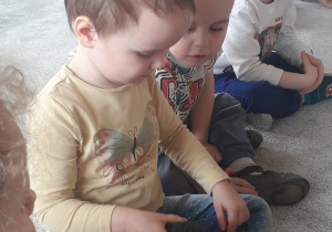 Czy wełna jest miła?