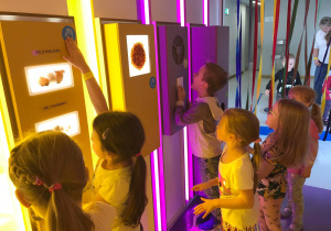 Tunel sensoryczny - poznawanie minerałów