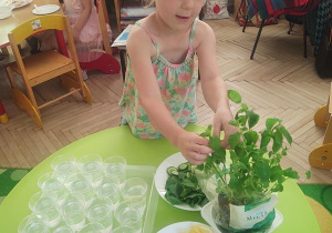 Ala przygotowuje dla siebie lemoniadę