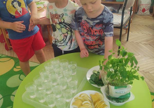 Chłopcy przygotowują swoje lemoniady