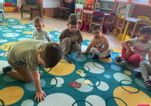 Kacper ogląda liście przez lupę