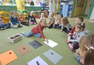 Lena kładzie kasztan na kartce w kolorze żółtym