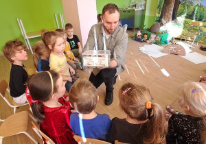 Puchatki oglądają mrówki
