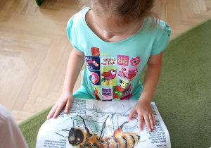 Dziewczynka przygląda się pszczole robotnicy na ilustracji
