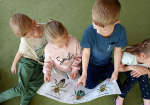 Dzieci oglądają ilustrację przedstawiającą: królową matkę, trutnia i robotnicę