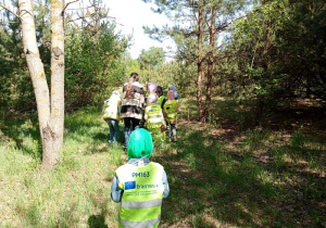 Wszyscy wracamy do gospodarstwa, omijając, piekne, bujne, leśne tereny