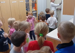 Delfinki na zapleczu apteki