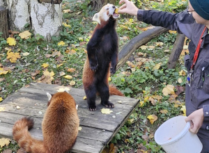 Wycieczka do ZOO
