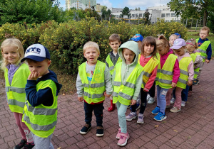Puchatki spacerują parkiem