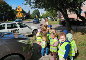Puchatki rozmawiają na temat znaków drogowych stojących przy jezdni