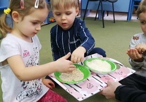 Filip i Marysia badają ziarna kaszy i ryżu