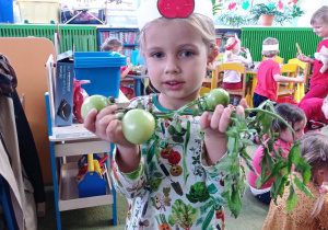 Remik przynósł do przedszkola gałazkę z zielonami pomidorkami