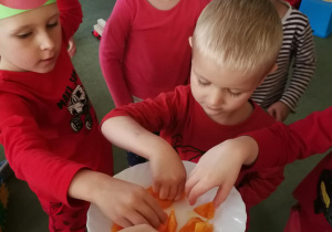 Dzieci częstują się żółtym pomidorkiem od Klary