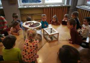 Dzieci obserwują jeżyka i wiewiórkę