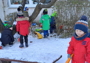 Puchatki wybierają zabawki do zimowych zabaw