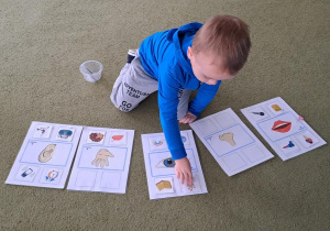 Kształcenie zmysłów Montessori "Zmysły" - praca wolna Tymka