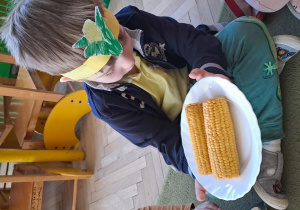 Mateusz ogląda kolby kukurydzy