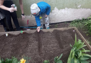 Leoś sieje nasiona warzyw w ogródku
