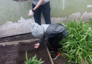 Jasio sieje nasiona w ogródku