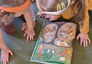 Przedszkolaki oglądają przekrój ziemniaka w książce "Przekroje warzyw i owoców"