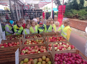Dzień Jabłka - wycieczka do warzywniaka, zajęcia kulinarne (pieczone jabłka)