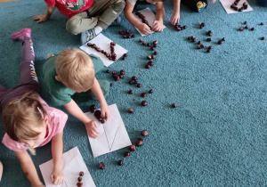 Dzieci siedxą na dywanie, układają cyfry z kasztanów