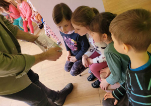 dzieci biorą udział w warsztatach na temat mrówek