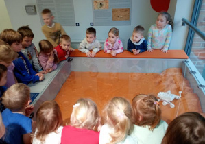 Delfinki oglądają mini robota