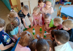 Delfinki rozmawiają co jest wspólnym elementem wszytskich produktów