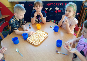 Delfinki próbują chrupki