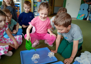 Dziewczynka podlewa fasolki
