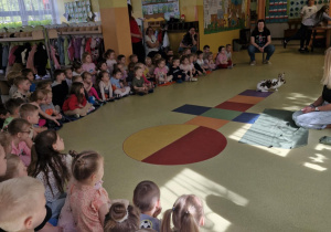 Dzieci patrzą na kicającego królika