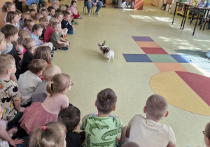 Dzieci patrzą na kicającego królika