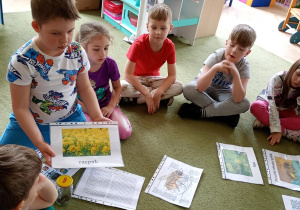 Chłopiec opowiada o zbieraniu pyłku przez pszczoły