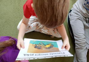 Chłopiec ogląda koszyczek na odnóży pszczoły