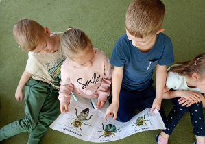 Dzieci oglądają ilustrację przedstawiającą: królową matkę, trutnia i robotnicę