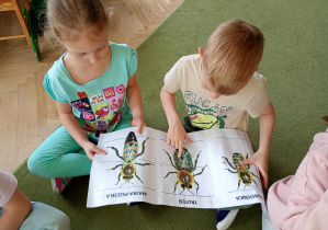 Puchatki oglądają ilustrację przedstawiającą: królową matkę, trutnia i robotnicę