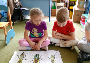 Chłopiec i dziewczynka oglądają ilustrację przedstawiającą: królową matkę, trutnia i robotnicę