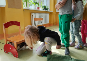 Dziewczynka głaszcze królika