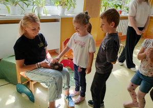 Dziewczynka głaszcze szynszylę