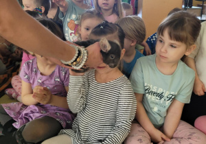 Spotkanie z szynszylą