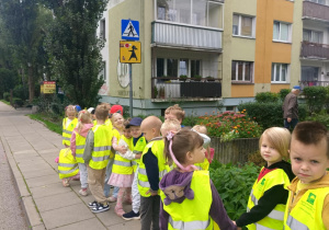 Poznajemy znaki drogowe