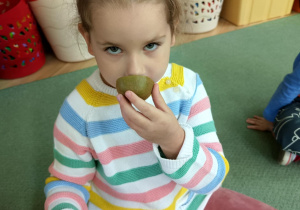 Motylki wąchają kiwi