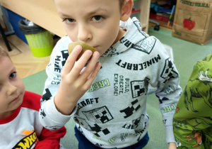 Motylki wąchają kiwi