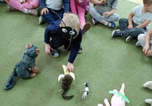 Chłopczyk przydziela pożywienie do zwierzątek