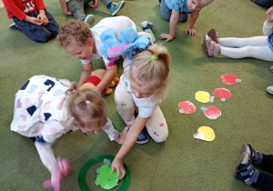 Dzieci segregują sylwety owoców do odpowiednich obręczy