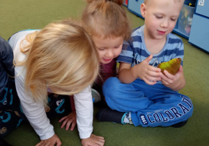 Dzieci przyglądają się przepołowionym owocom